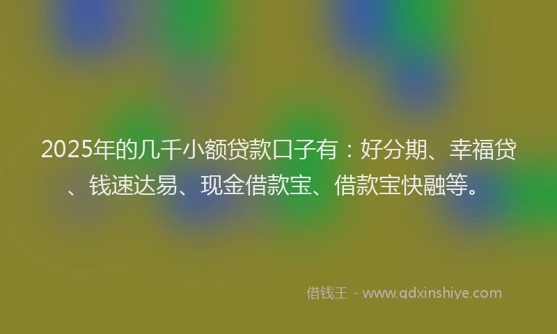 2025年的几千小额贷款口子有：好分期、幸福贷、钱速达易、现金借款宝、借款宝快融等。