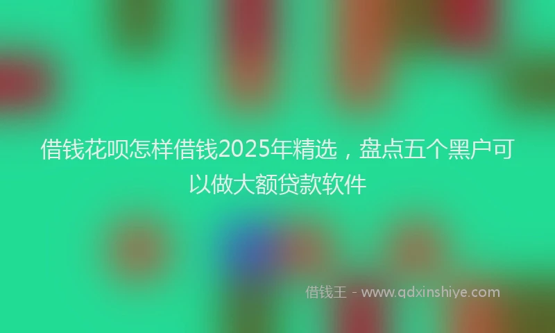 借钱花呗怎样借钱2025年精选，盘点五个黑户可以做大额贷款软件