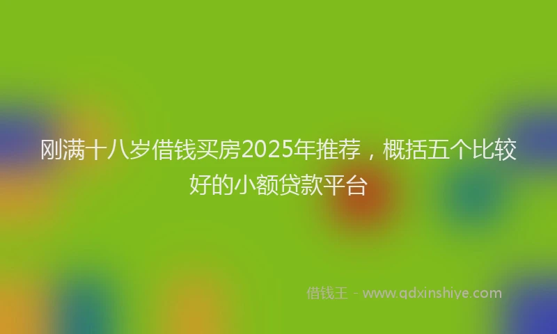 刚满十八岁借钱买房2025年推荐，概括五个比较好的小额贷款平台