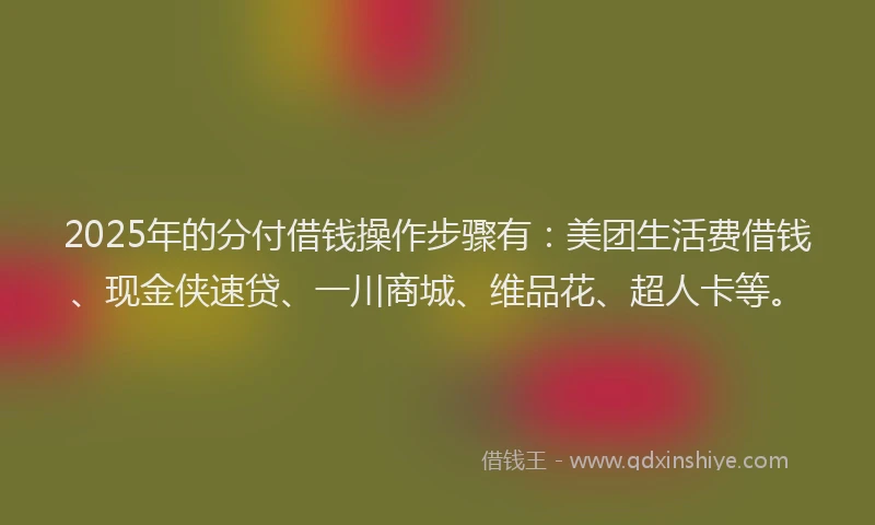 2025年的分付借钱操作步骤有：美团生活费借钱、现金侠速贷、一川商城、维品花、超人卡等。