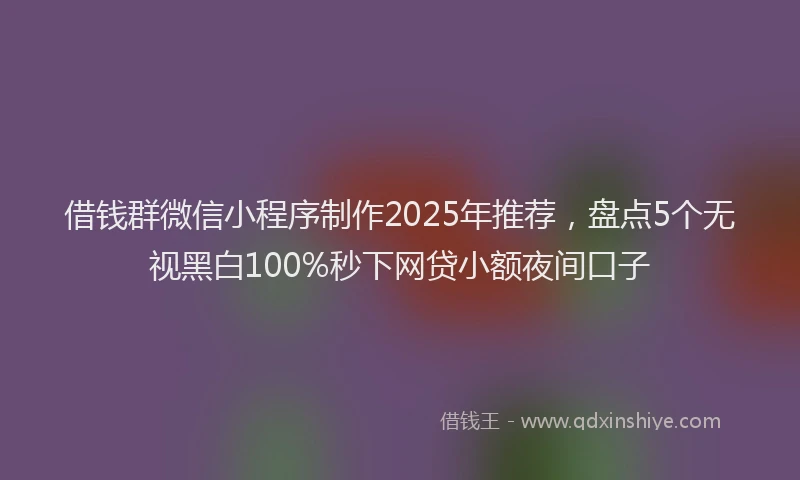 借钱群微信小程序制作2025年推荐，盘点5个无视黑白100%秒下网贷小额夜间口子