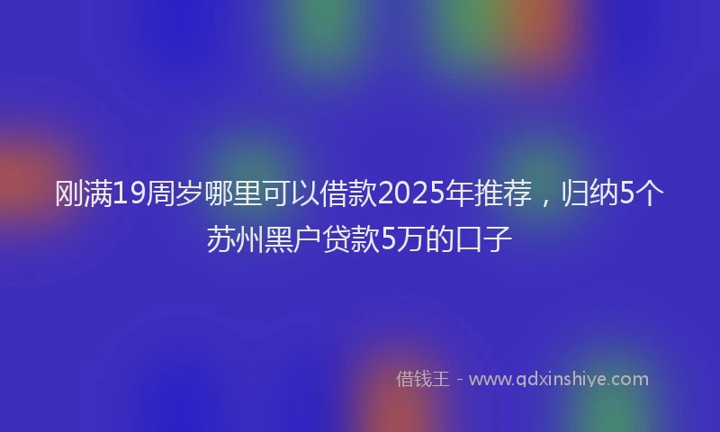 刚满19周岁哪里可以借款2025年推荐，归纳5个苏州黑户贷款5万的口子