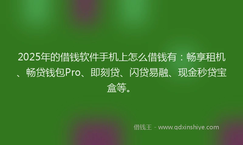 2025年的借钱软件手机上怎么借钱有：畅享租机、畅贷钱包Pro、即刻贷、闪贷易融、现金秒贷宝盒等。