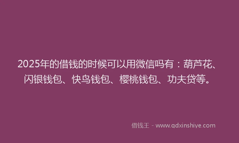 2025年的借钱的时候可以用微信吗有：葫芦花、闪银钱包、快鸟钱包、樱桃钱包、功夫贷等。
