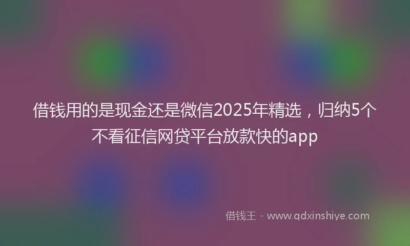借钱用的是现金还是微信2025年精选，归纳5个不看征信网贷平台放款快的app