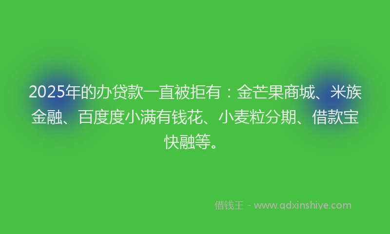 2025年的办贷款一直被拒有：金芒果商城、米族金融、百度度小满有钱花、小麦粒分期、借款宝快融等。