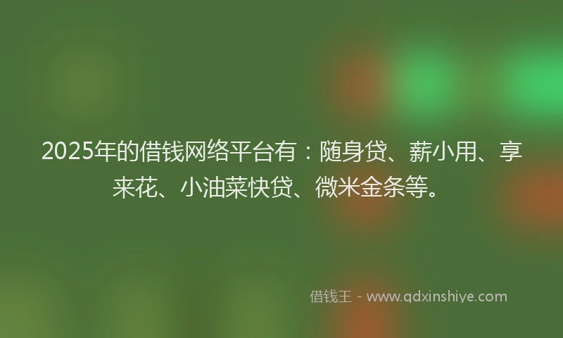 2025年的借钱网络平台有：随身贷、薪小用、享来花、小油菜快贷、微米金条等。