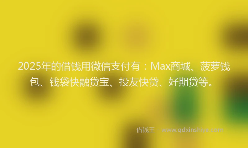 2025年的借钱用微信支付有：Max商城、菠萝钱包、钱袋快融贷宝、投友快贷、好期贷等。