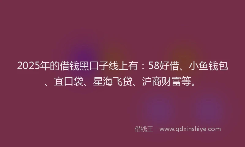 2025年的借钱黑口子线上有：58好借、小鱼钱包、宜口袋、星海飞贷、沪商财富等。