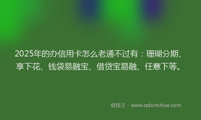 2025年的办信用卡怎么老通不过有：珊瑚分期、享下花、钱袋易融宝、借贷宝易融、任意下等。