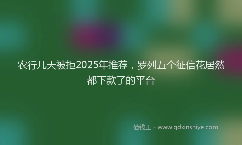 农行几天被拒2025年推荐，罗列五个征信花居然都下款了的平台