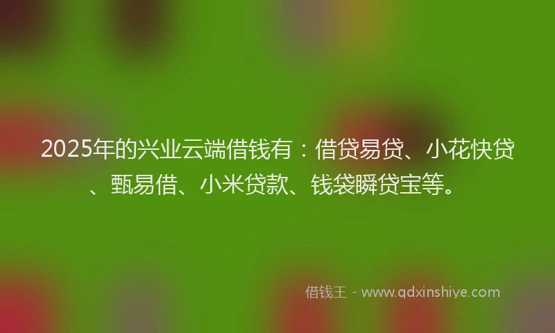 2025年的兴业云端借钱有：借贷易贷、小花快贷、甄易借、小米贷款、钱袋瞬贷宝等。
