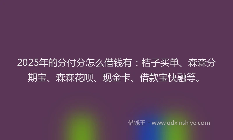 2025年的分付分怎么借钱有：桔子买单、森森分期宝、森森花呗、现金卡、借款宝快融等。