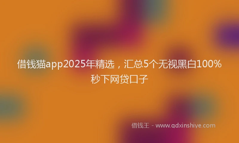 借钱猫app2025年精选，汇总5个无视黑白100%秒下网贷口子