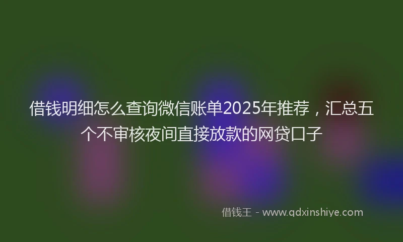 借钱明细怎么查询微信账单2025年推荐，汇总五个不审核夜间直接放款的网贷口子