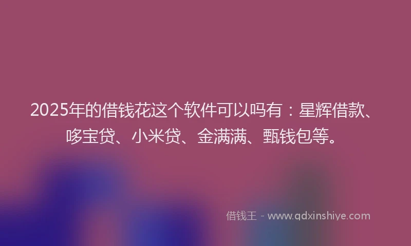 2025年的借钱花这个软件可以吗有：星辉借款、哆宝贷、小米贷、金满满、甄钱包等。