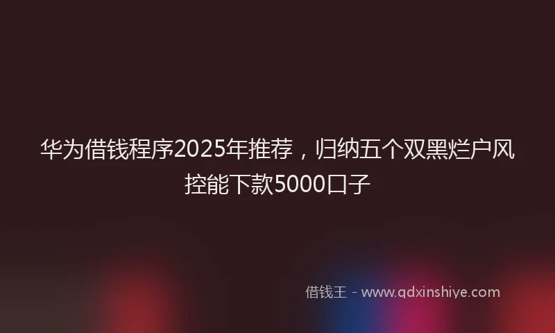 华为借钱程序2025年推荐，归纳五个双黑烂户风控能下款5000口子