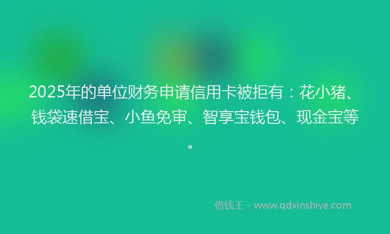2025年的单位财务申请信用卡被拒有：花小猪、钱袋速借宝、小鱼免审、智享宝钱包、现金宝等。