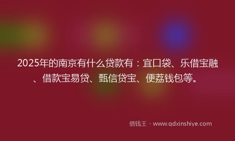 2025年的南京有什么贷款有：宜口袋、乐借宝融、借款宝易贷、甄信贷宝、便荔钱包等。