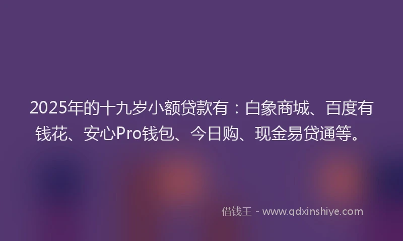 2025年的十九岁小额贷款有：白象商城、百度有钱花、安心Pro钱包、今日购、现金易贷通等。