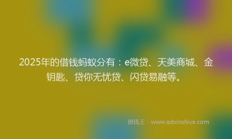 2025年的借钱蚂蚁分有：e微贷、天美商城、金钥匙、贷你无忧贷、闪贷易融等。