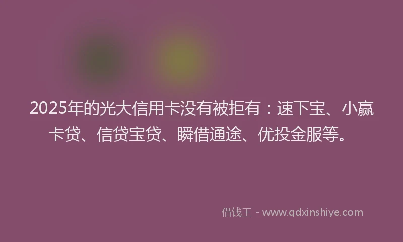 2025年的光大信用卡没有被拒有：速下宝、小赢卡贷、信贷宝贷、瞬借通途、优投金服等。