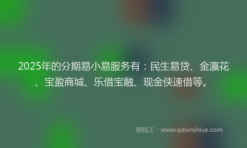 2025年的分期易小易服务有：民生易贷、金瀛花、宝盈商城、乐借宝融、现金侠速借等。
