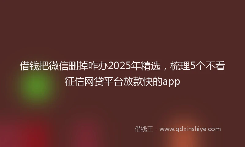 借钱把微信删掉咋办2025年精选，梳理5个不看征信网贷平台放款快的app