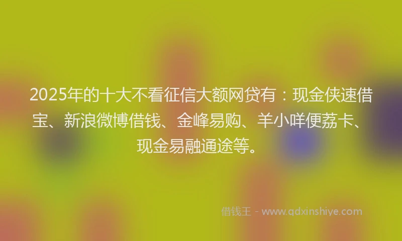 2025年的十大不看征信大额网贷有：现金侠速借宝、新浪微博借钱、金峰易购、羊小咩便荔卡、现金易融通途等。