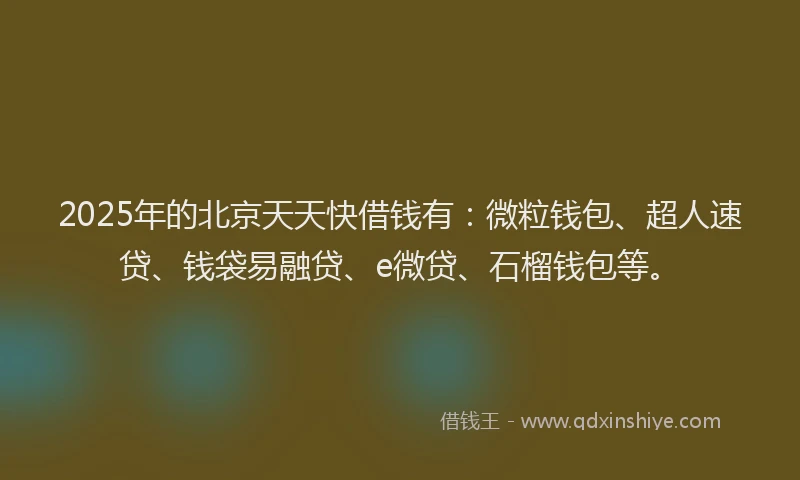 2025年的北京天天快借钱有：微粒钱包、超人速贷、钱袋易融贷、e微贷、石榴钱包等。