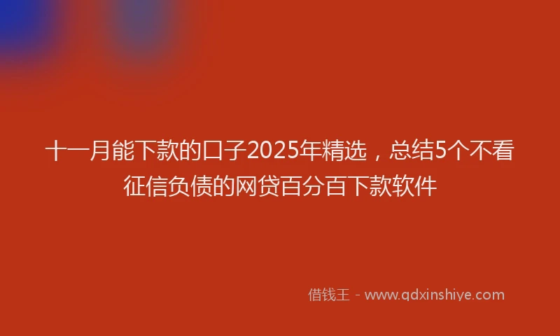 十一月能下款的口子2025年精选，总结5个不看征信负债的网贷百分百下款软件
