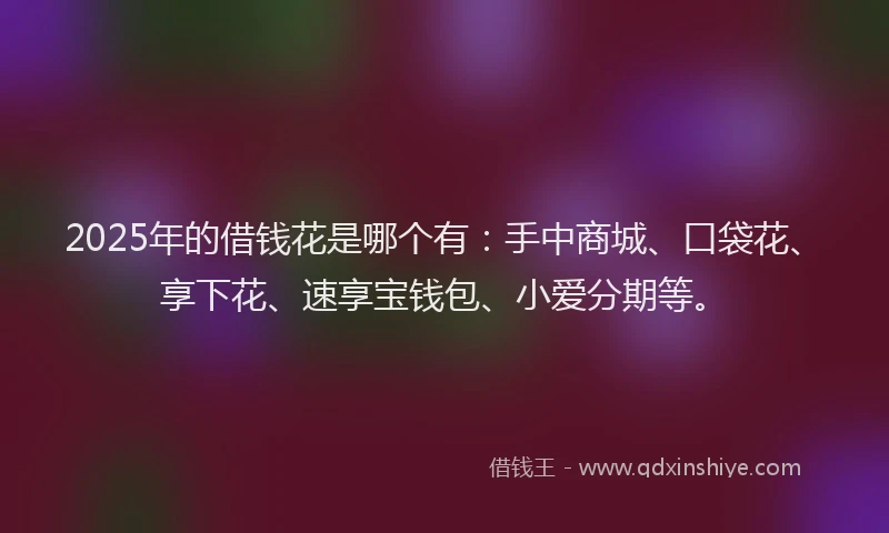 2025年的借钱花是哪个有：手中商城、口袋花、享下花、速享宝钱包、小爱分期等。