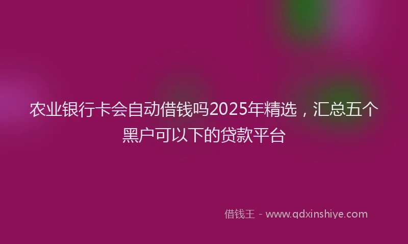 农业银行卡会自动借钱吗2025年精选，汇总五个黑户可以下的贷款平台