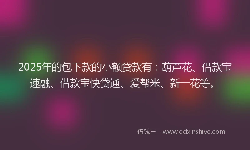 2025年的包下款的小额贷款有：葫芦花、借款宝速融、借款宝快贷通、爱帮米、新一花等。