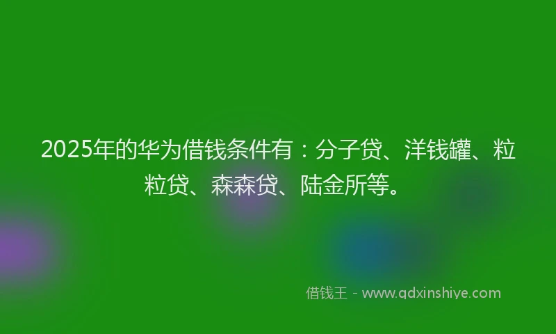 2025年的华为借钱条件有：分子贷、洋钱罐、粒粒贷、森森贷、陆金所等。