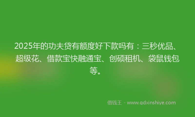 2025年的功夫贷有额度好下款吗有：三秒优品、超级花、借款宝快融通宝、创硕租机、袋鼠钱包等。