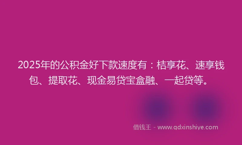 2025年的公积金好下款速度有：桔享花、速享钱包、提取花、现金易贷宝盒融、一起贷等。