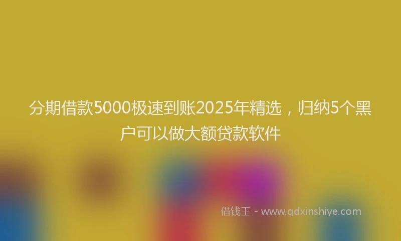 分期借款5000极速到账2025年精选，归纳5个黑户可以做大额贷款软件