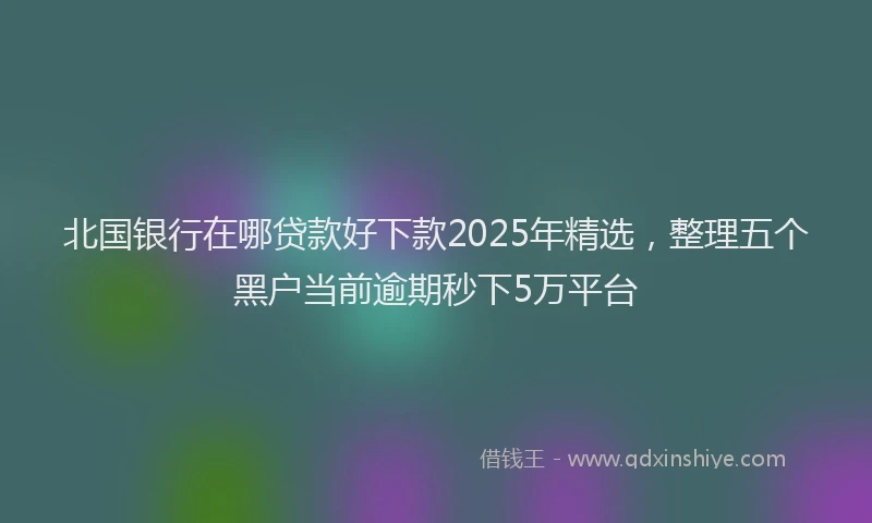 北国银行在哪贷款好下款2025年精选，整理五个黑户当前逾期秒下5万平台