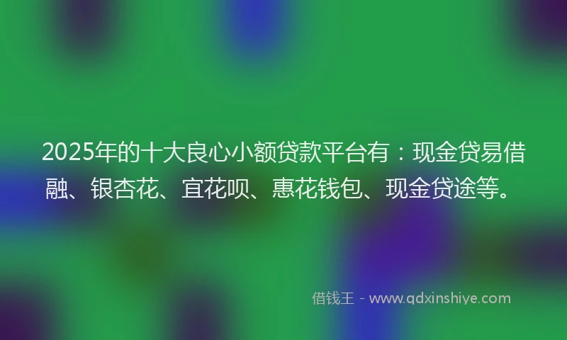 2025年的十大良心小额贷款平台有：现金贷易借融、银杏花、宜花呗、惠花钱包、现金贷途等。
