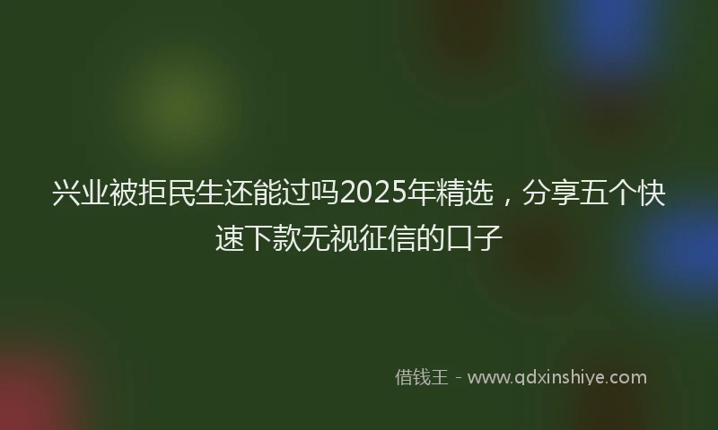 兴业被拒民生还能过吗2025年精选，分享五个快速下款无视征信的口子