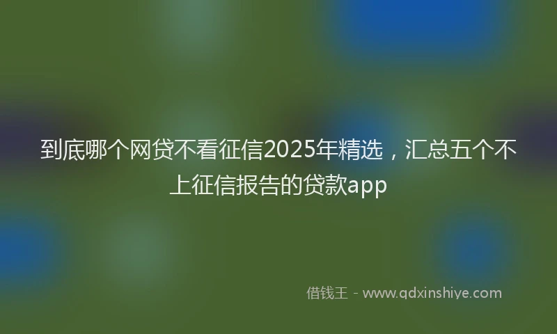 到底哪个网贷不看征信2025年精选，汇总五个不上征信报告的贷款app