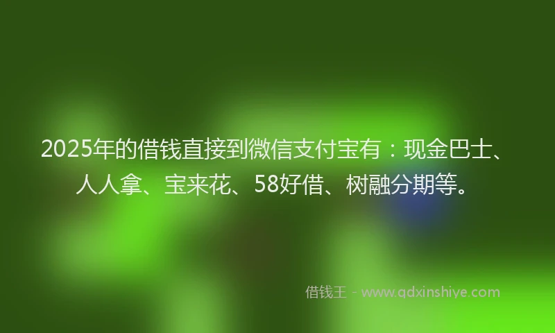 2025年的借钱直接到微信支付宝有：现金巴士、人人拿、宝来花、58好借、树融分期等。
