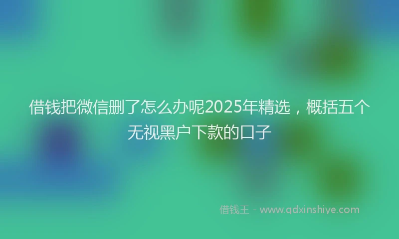 借钱把微信删了怎么办呢2025年精选，概括五个无视黑户下款的口子