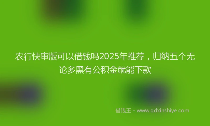 农行快审版可以借钱吗2025年推荐，归纳五个无论多黑有公积金就能下款