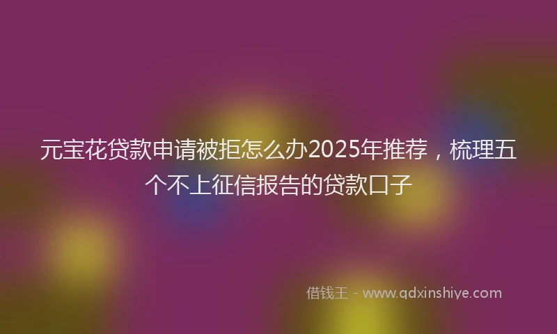 元宝花贷款申请被拒怎么办2025年推荐，梳理五个不上征信报告的贷款口子
