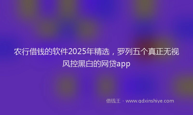 农行借钱的软件2025年精选，罗列五个真正无视风控黑白的网贷app