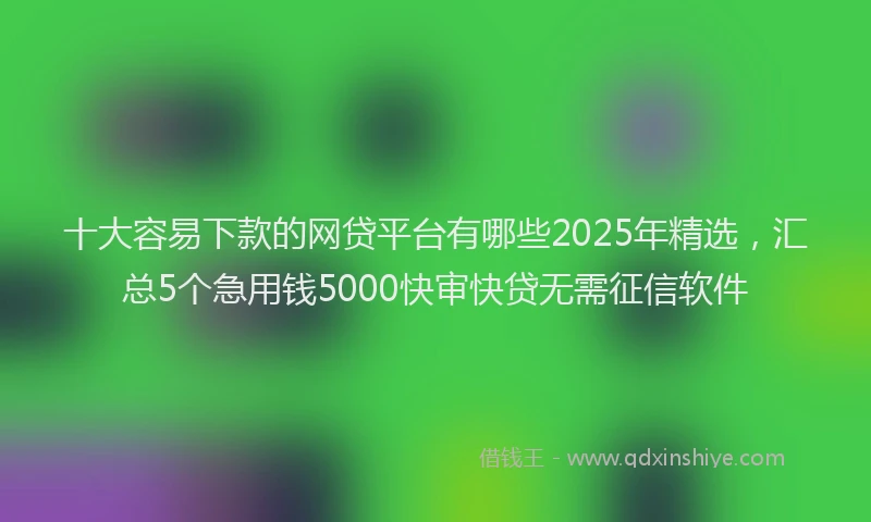 十大容易下款的网贷平台有哪些2025年精选，汇总5个急用钱5000快审快贷无需征信软件