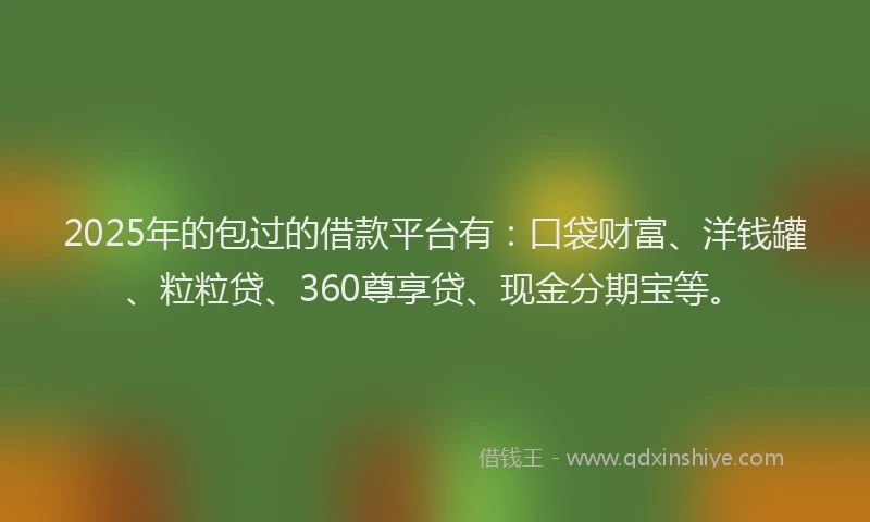 2025年的包过的借款平台有：口袋财富、洋钱罐、粒粒贷、360尊享贷、现金分期宝等。