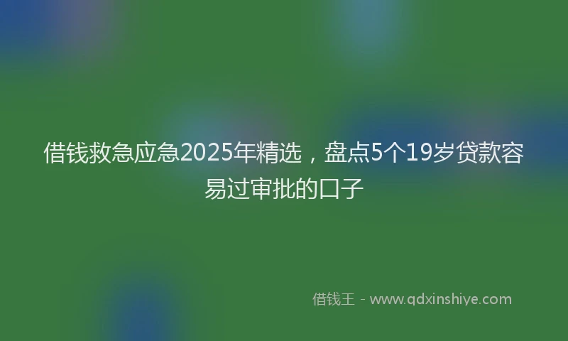借钱救急应急2025年精选，盘点5个19岁贷款容易过审批的口子